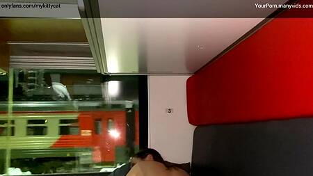 Оттрахал сексуальную попутчицу в поезде и снял на телефон очень жаркую порнушку