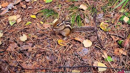 Что ты смотришь? Сам кончил на публике, и другим не мешай 19.6K Модели:Stacy StarandoAlice Novak  русское