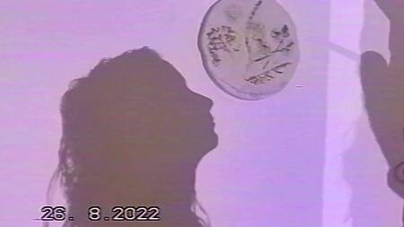 Кучерявая телочка трясет классной попкой на хую после отсоса в позе 69