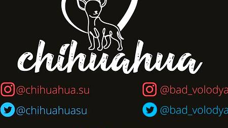 Польская проститутка в развратном белье дает в попку