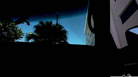 Девушка без комплексов ебется в машине за деньги