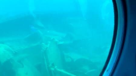 Управляет вибратором в киске брюнетки во время прогулки