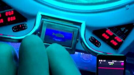 Управляет вибратором в киске брюнетки во время прогулки