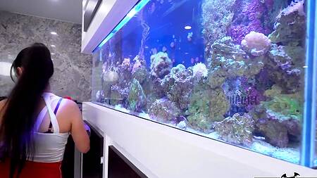 Голая домработница с собой жопой ебется за деньги