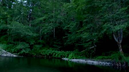 Отвела друга к реке, чтобы трахнуться на природе