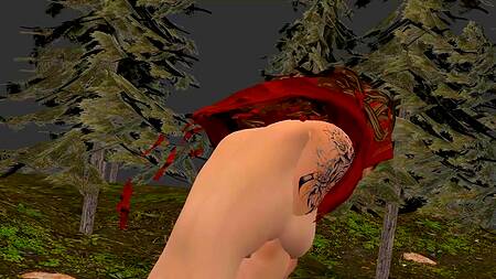 Little Red Riding Hood Adventures 2