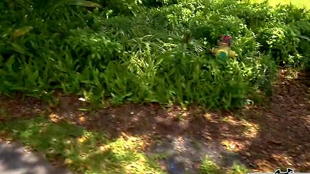 Подцепил телку в парке и выебал её большим членом в машине