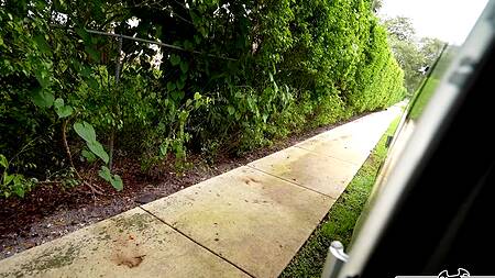 Скромница с натуральными сиськами ебется за деньги в машине