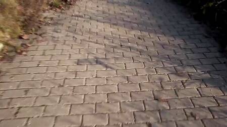 Пописала в кустах и заработала денег сексом