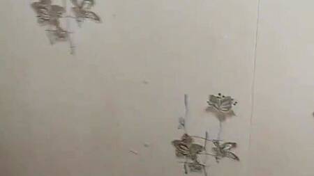 Шлюшка моется после любовника