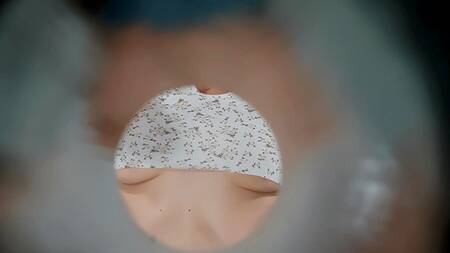 Сантехником оказался красотка, которая любит секс