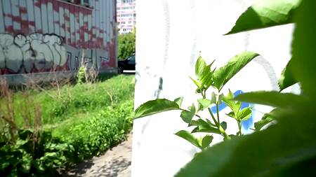 Мужик дрочит в парке и соблазняет красивую брюнетку