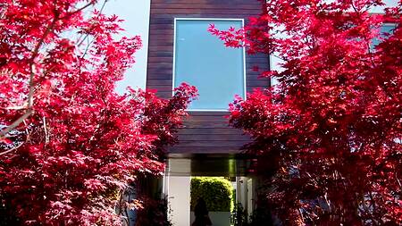 Красивая Chanel Camryn увлеченно мастурбирует и трахается с другом