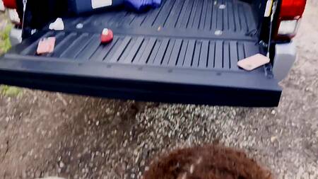 Черный спортсмен после тренировки ебет двух красавиц