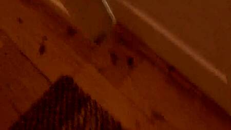 Миниатюрная азиатка во время встречи с друзьями занимается сексом