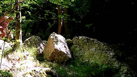 Парень в походе трахнул милую сельскую девушку