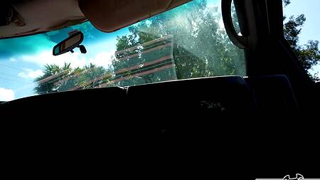 Миловидная блондинка ебется за деньги в машине