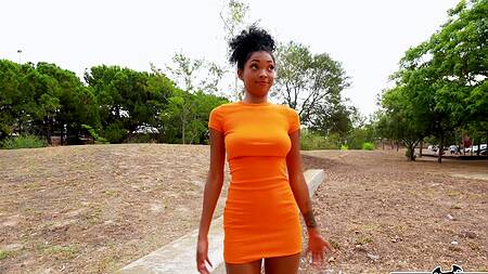 Чернокожая стриптизерша в масле отдается негру