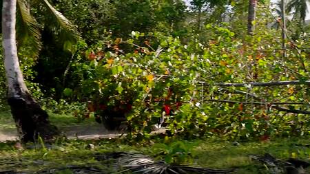 Богач привозит к себе черную модель, чтобы её трахнуть