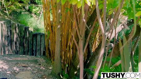 Мускулистый мужчина предоставил азиатке желанный оргазм