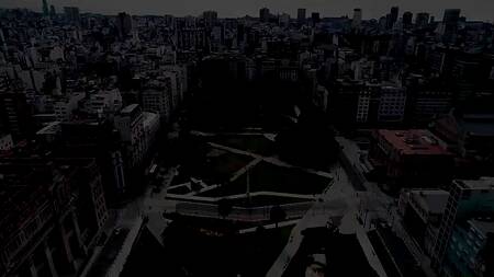 Выпил вина с худышкой в парке и привел её к себе ебаться