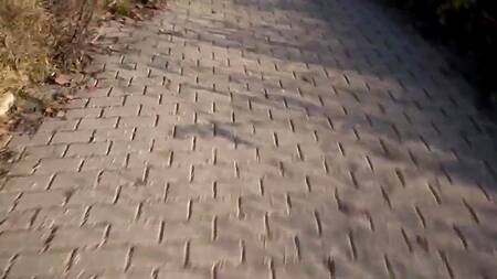 Показывает сиськи за деньги и идет к мужику ебаться