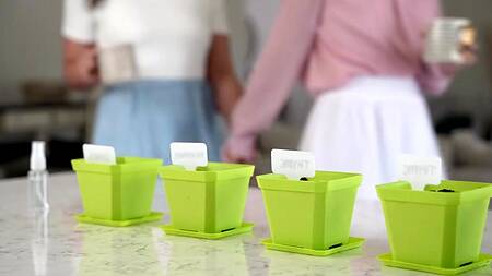 Мачехи отдаются пасынкам для удовольствия и учебы