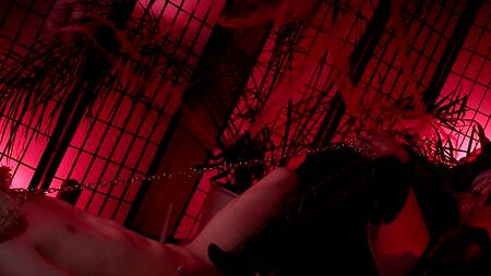 Посадила парня на цепь и доминирует над ним