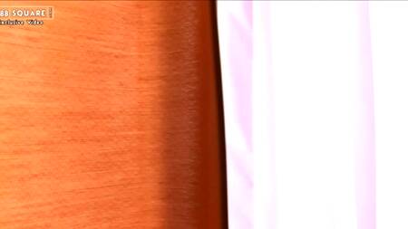 Стройная азиатка в эротической фотосессии с раздеванием