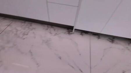 Смазливая студентка в очках садится на член отчима