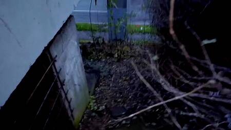 Предсказуемо, что татуированная неформалка отдается за деньги