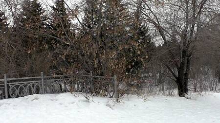 Если девушка замерзла во время прогулки, то согреться ей поможет минет