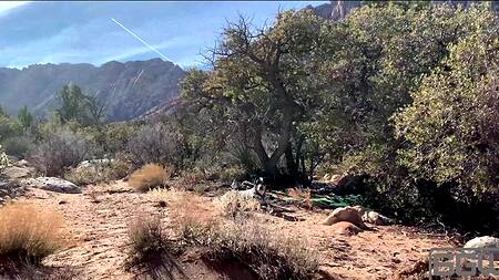 Красотка во время похода предлагает трахнуться на природе