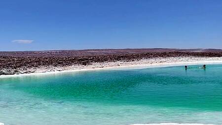 Нашли заброшенный автобус в пустыне и там ебутся