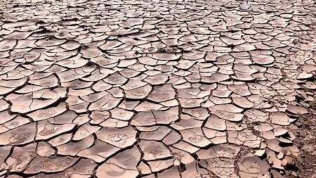 Нашли заброшенный автобус в пустыне и там ебутся