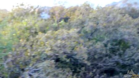 Красотка долго возбуждала и отсосала член на природе