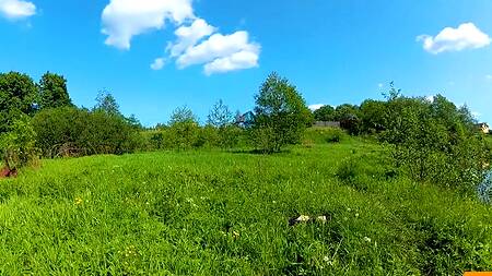 Приехал в деревню и трахнул местную девушку у пруда