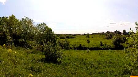 Приехал в деревню и трахнул местную девушку у пруда