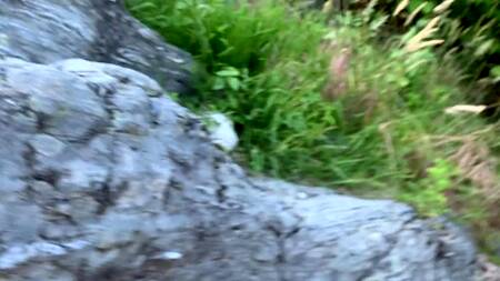 Девка снимает трусики и встает раком для секса на природе