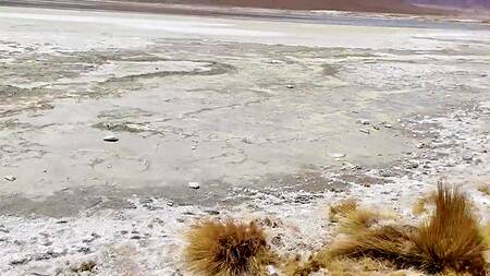 Неформалка в пустыне смачно сосет хуй и глотает сперму