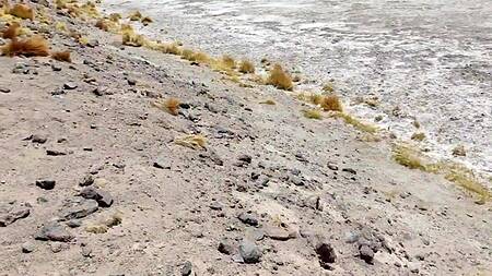 Неформалка в пустыне смачно сосет хуй и глотает сперму