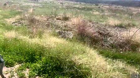 Бродят по пустыне и занимаются жарким сексом