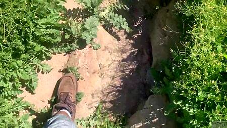 Бродят по пустыне и занимаются жарким сексом