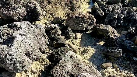 Познакомилась с негром на пляже и тут же ему отдалась