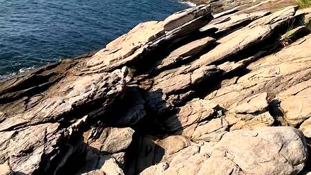 Отпуск с татуированной неформалкой и ебля, ебля, ебля - подборка