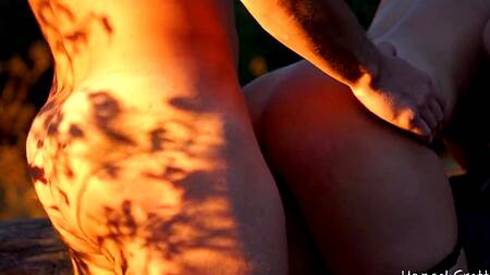 Отдохнули от городской суеты и занялись сексом в лесу