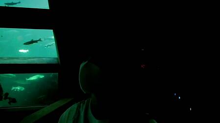 Милая японка после свидания встает раком и спускает трусики