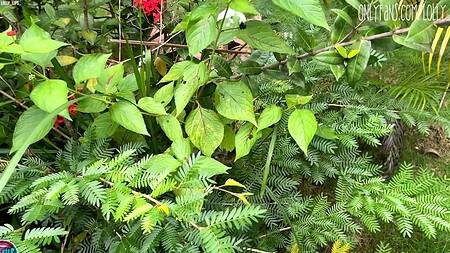 Застал красотку в кустах за дрочкой и привел её к себе на секс