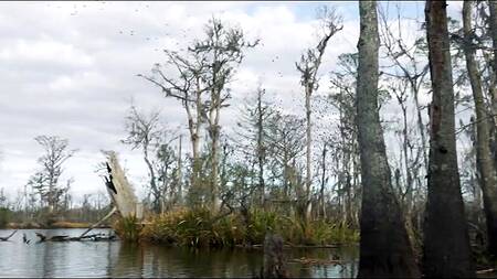 Милая азиатка путешествует с парнем и ебется на кухне