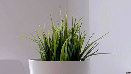 Милая азиатка играется с вибратором, соблазняя на секс